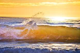 One with the Wave-9330 One with the Wave-9330